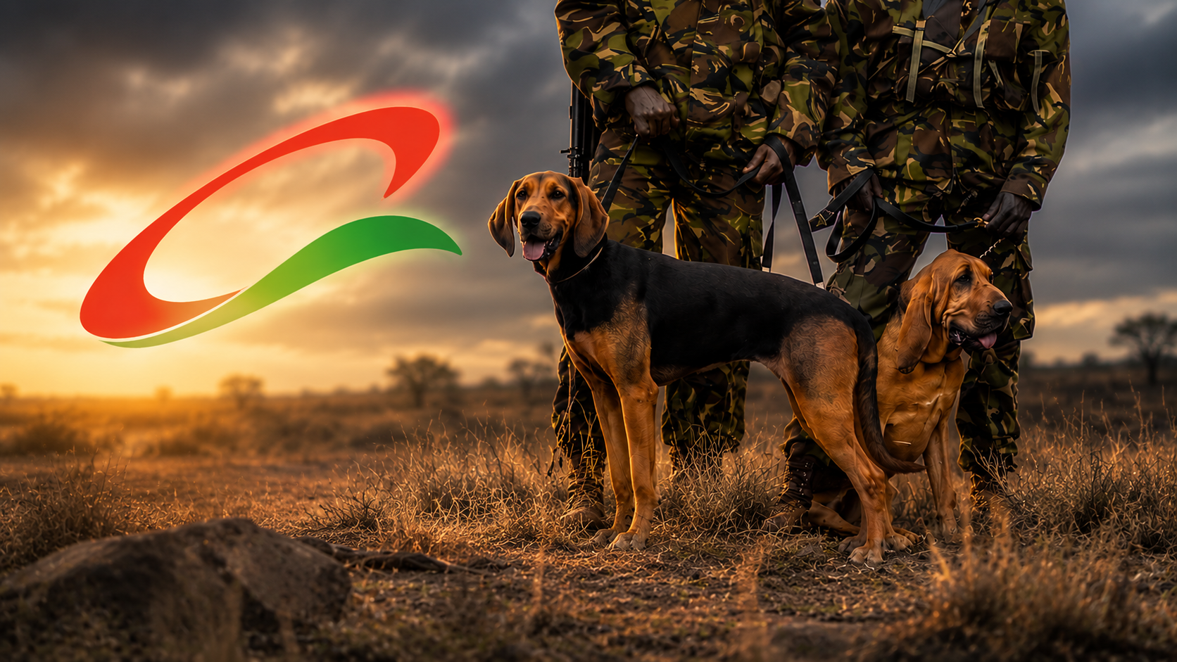 Lewa Wildlife Conservancy tracker dogs and handlers supporting anti poaching operations alongside modern wildlife protection efforts.