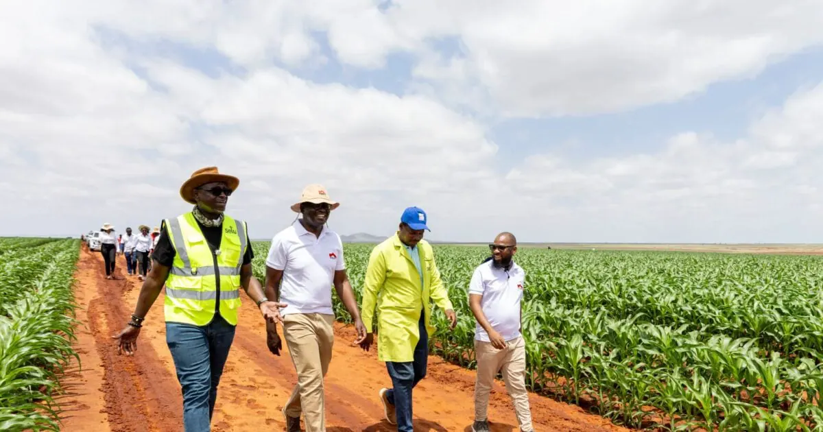 Equity Bank Finances KSh13bn Expansion of Selu Africa Farm