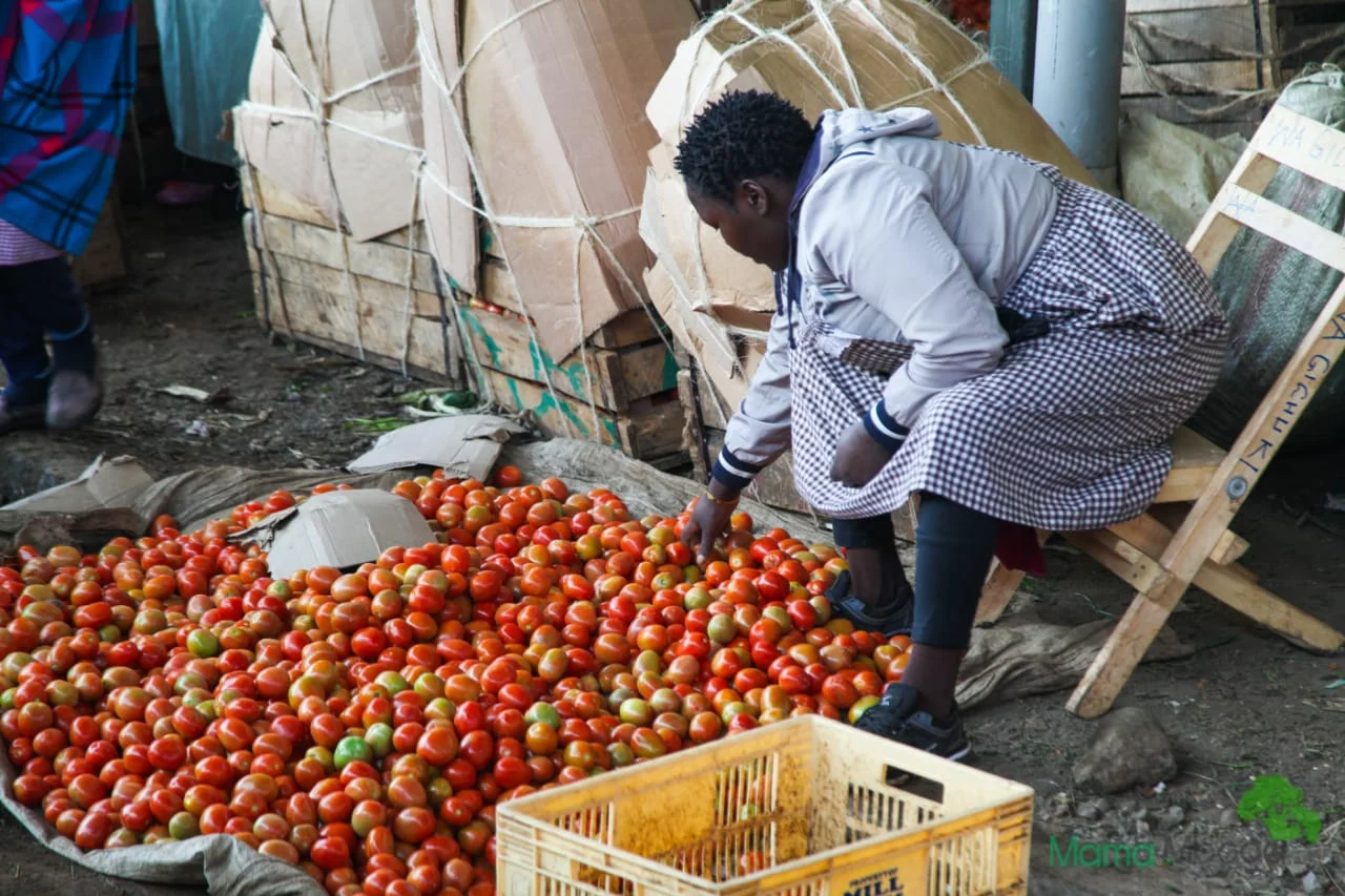 President Ruto Calls for Boost in Local Food Production and Value Addition