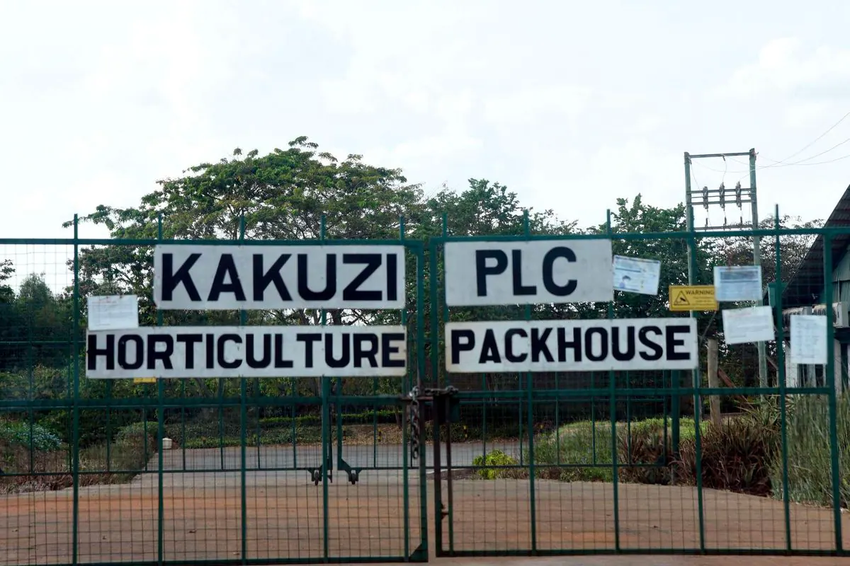 Supreme Court Dismisses Kakuzi Appeal Over 72-Acre Makuyu Golf Course