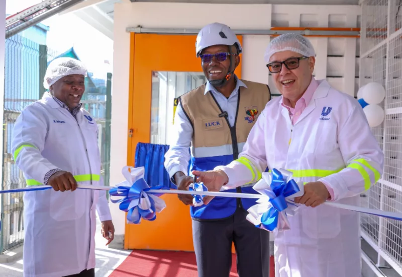 Unilever joins list of firms tapping solar as high power costs squeeze manufacturers