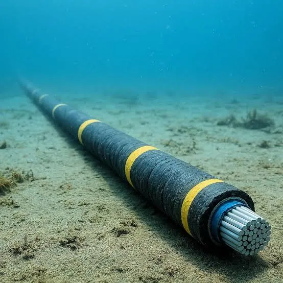 WEF Report Shows 99% of Data Uses Undersea Cables, Kenya Hit by 2024 Outages
