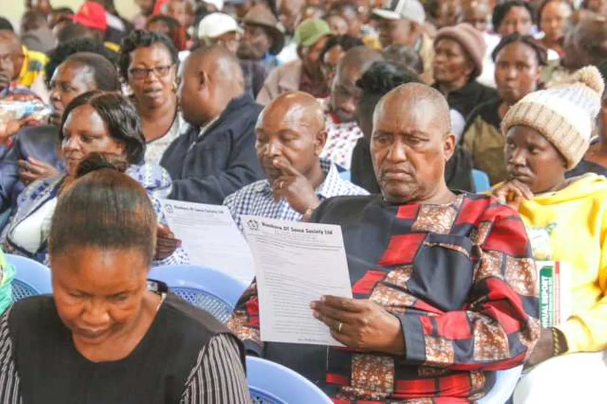 Women CEOs in Kenyan Saccos Reach 36.9% in 2025